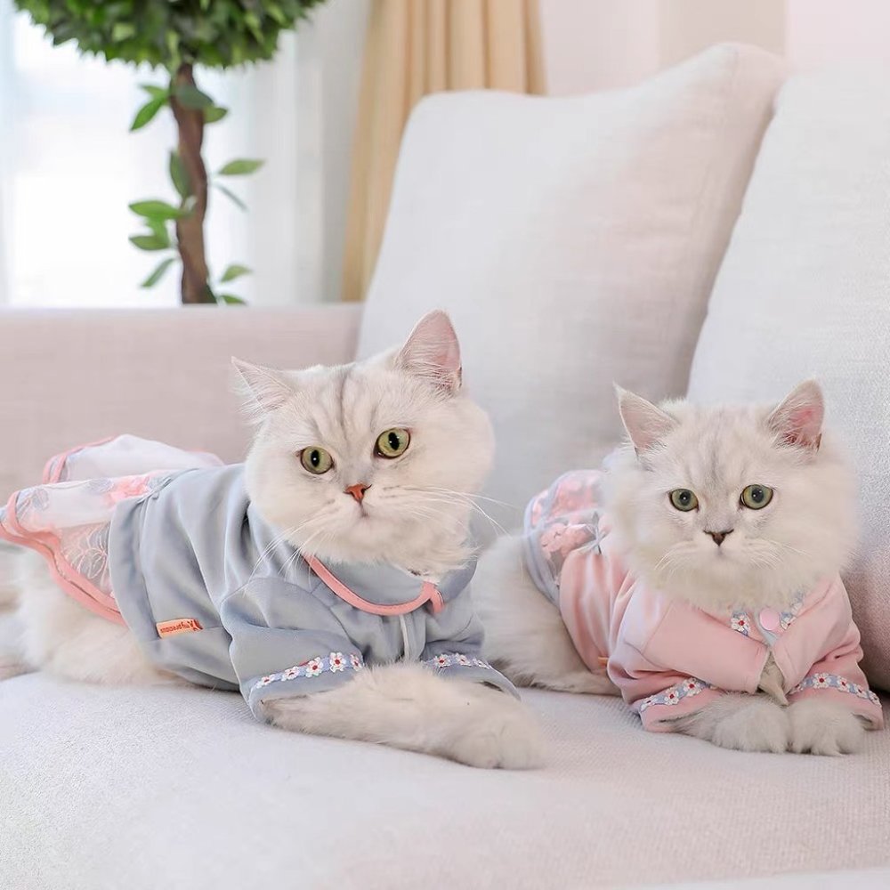 🎄Christmas gift for your cat - Dress for little dogs/cats